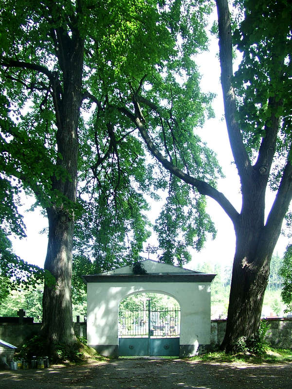 Muzeum esk Sibie, Milin, pamtn strom, lpa malolist